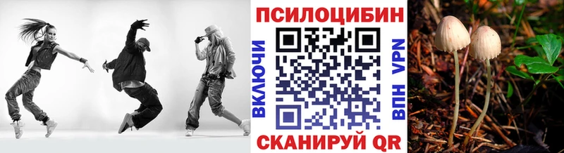 Галлюциногенные грибы GOLDEN TEACHER  Купить  Новая Усмань 