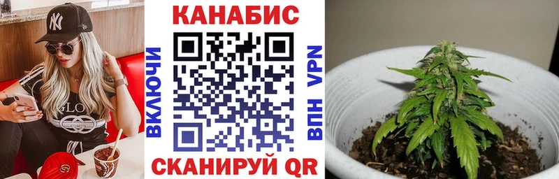 Бошки Шишки планчик  Купить закладки  Новая Усмань 